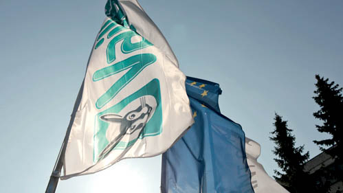 Vaillant image